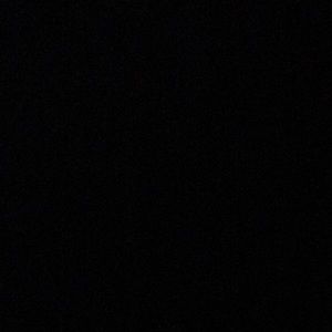 Meet your Posher, Mya